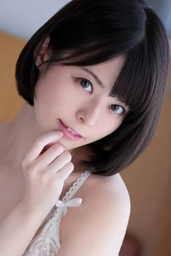 用户木鱼声头像
